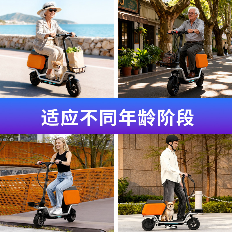 Adult Escooter electric scoote - огляд і ціна Electric Scooter